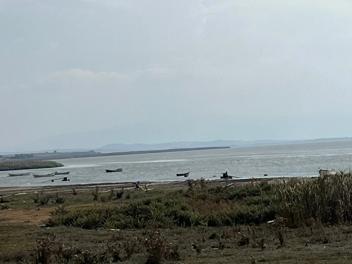 Manyas Kuş Cenneti Nerededir? Nasıl Gidilir? Detaylı Rehber