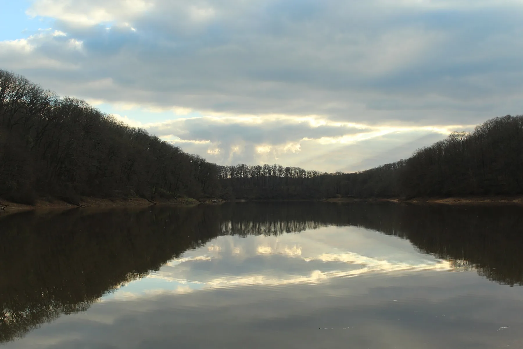 Neşet Suyu Tabiat Parkı Piknik Rehberi: Ulaşım, Olanaklar ve Ziyaret İpuçları
