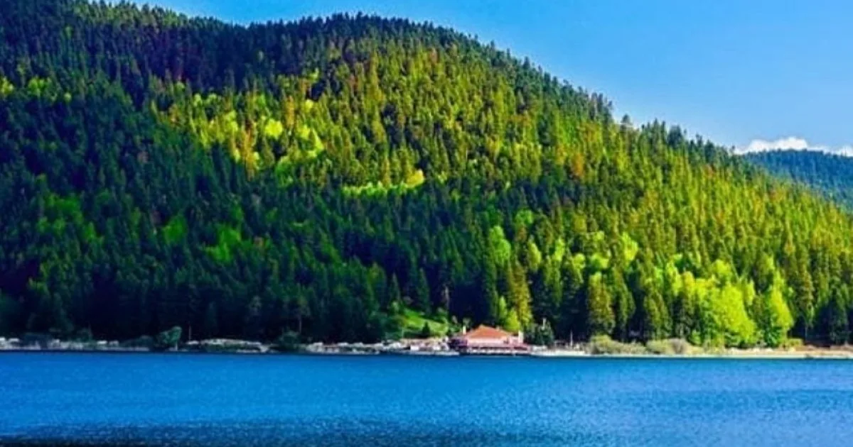 Abant Gölü Tabiat Parkı Piknik Alanı