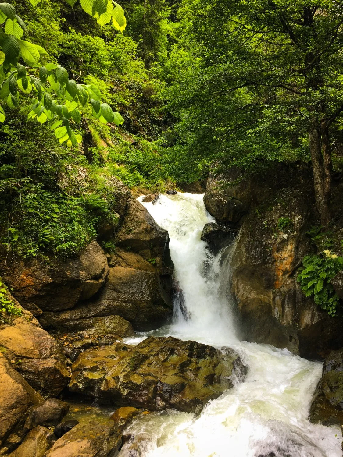 Altındere Vadisi Milli Parkı