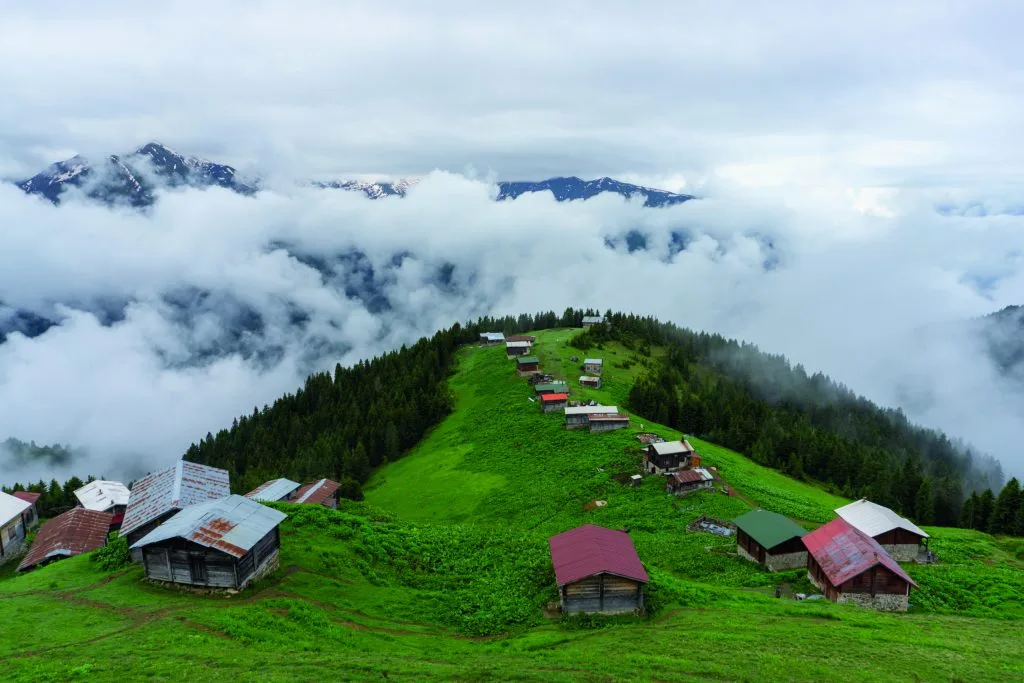 Aydınlar Yaylası Piknik Alanı