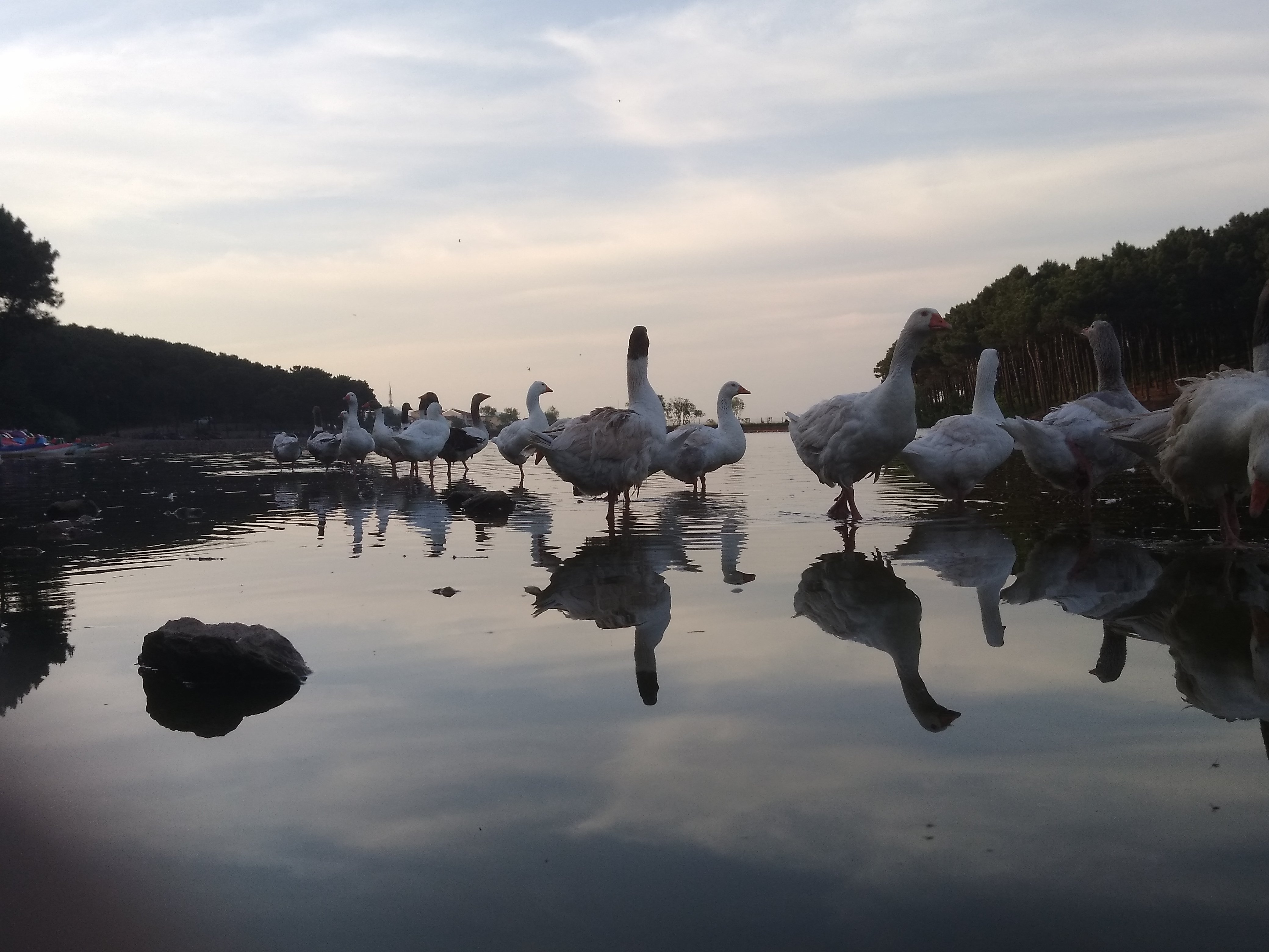 Aydos Ormanı Piknik Alanı