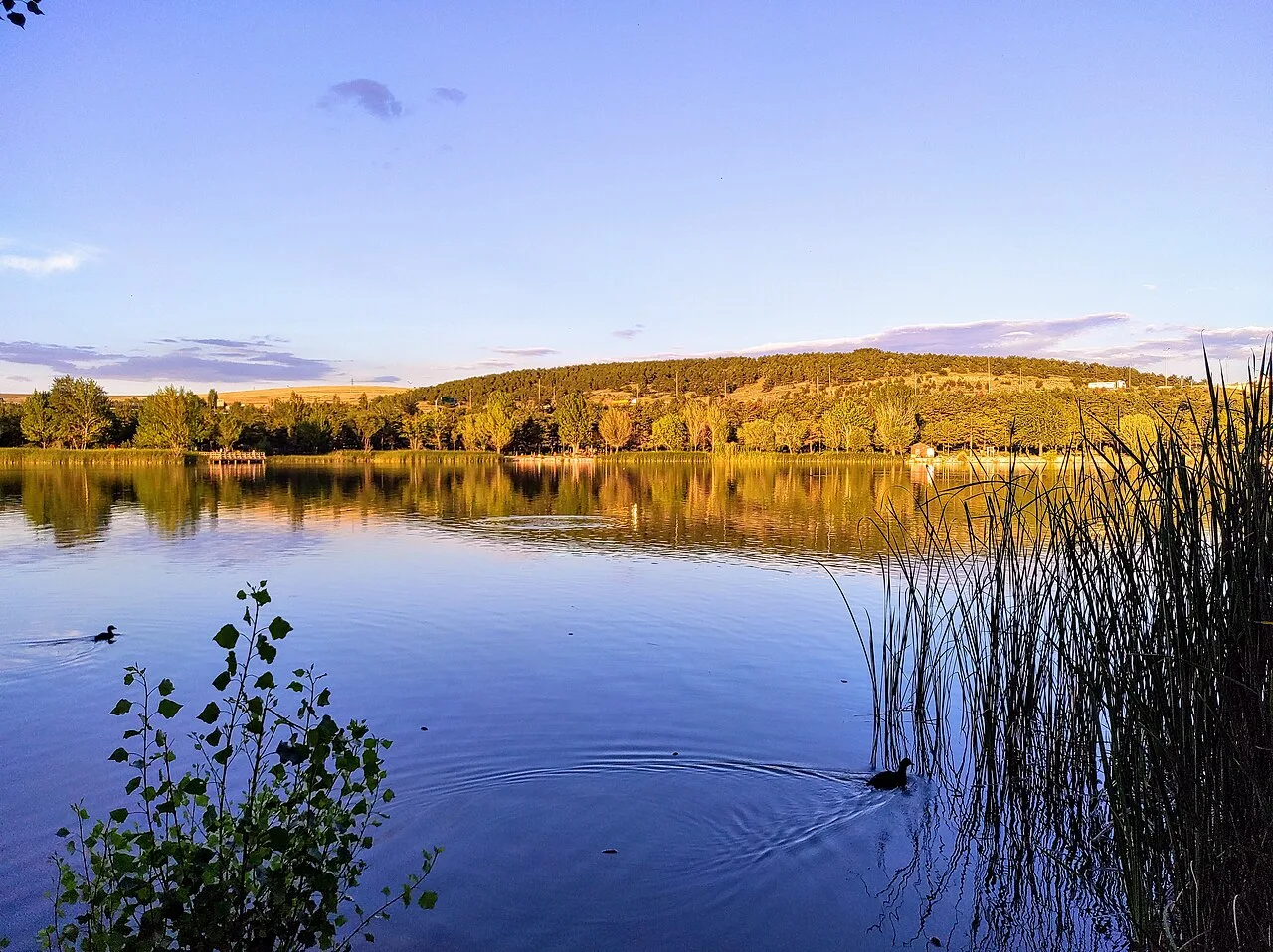 Bayındır Barajı Piknik Alanı