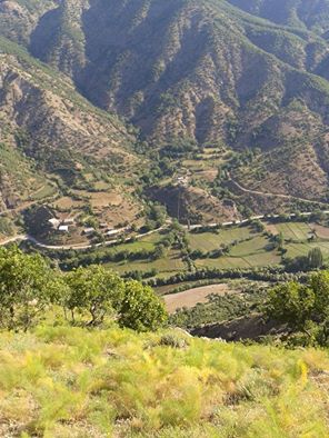 Bitlis Deresi Vadisi Mesire Alanı