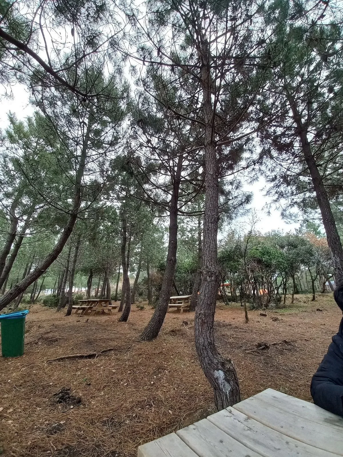 Çiftlikköy Tabiat Parkı