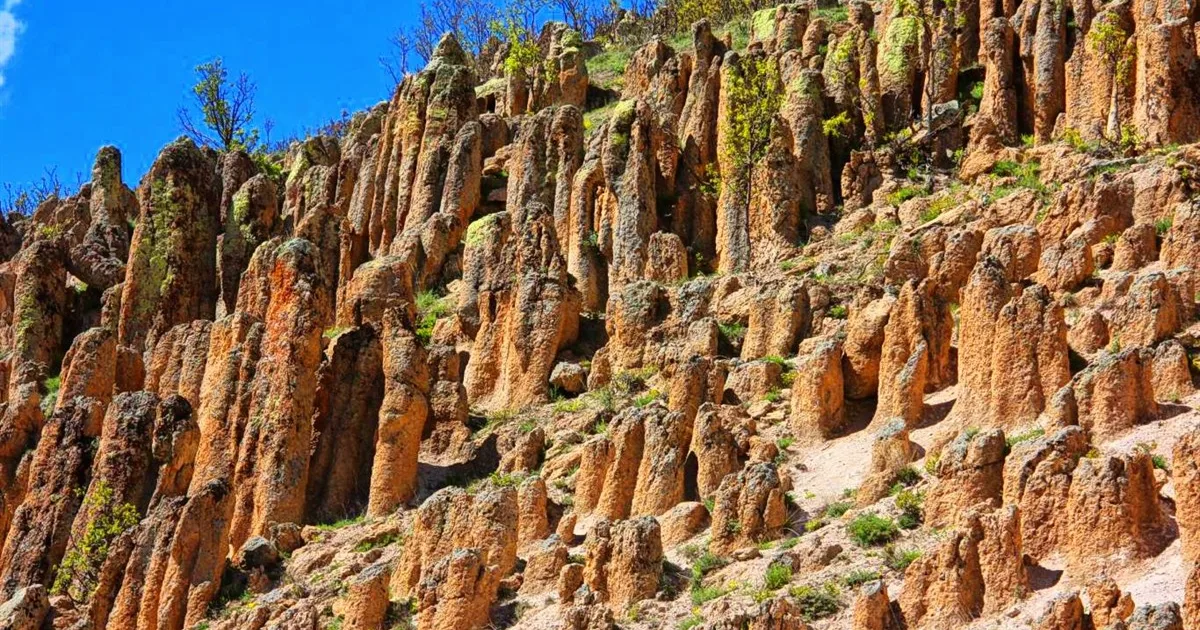 Genç İlçesi Çayırlık Piknik Alanı