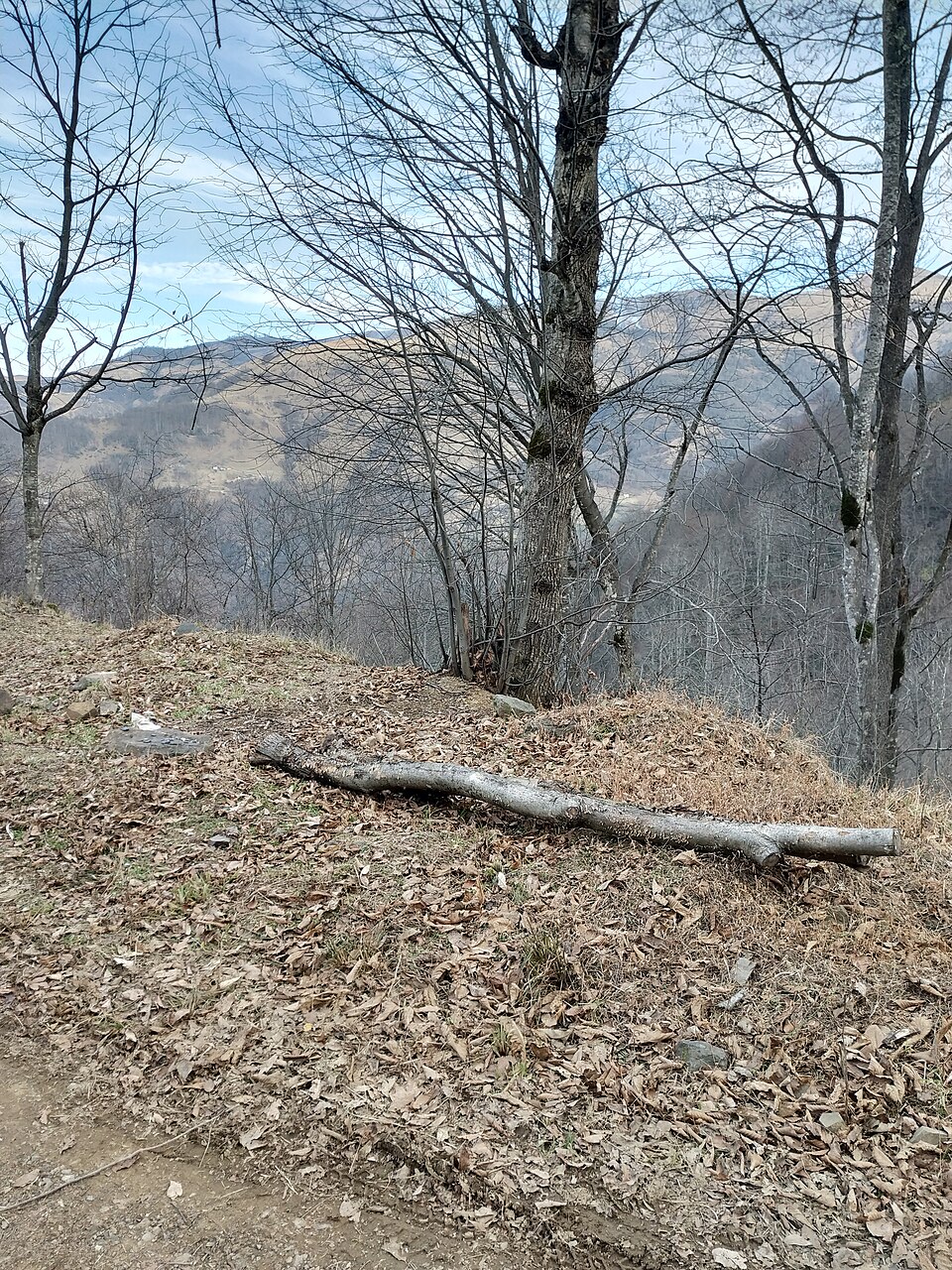 Görnek Tabiat Parkı