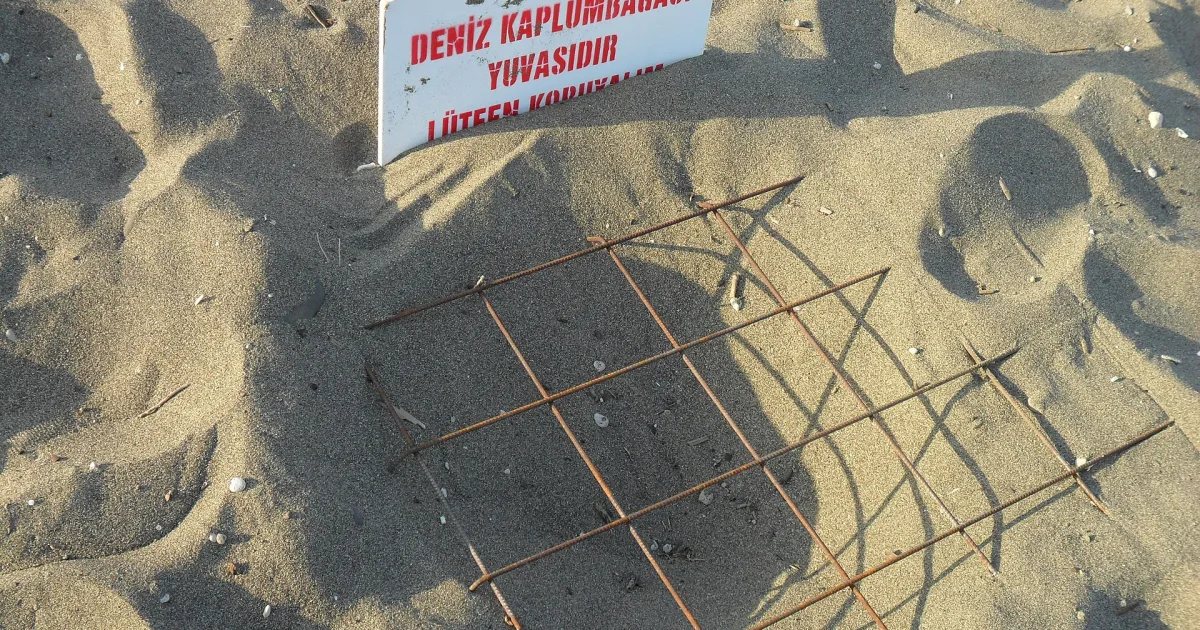 Gümüşkum (Yüzüncü Yıl) Tabiat Parkı