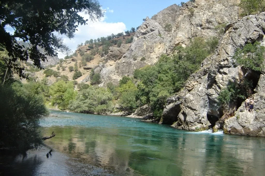 Halbori Göl Piknik Alanı