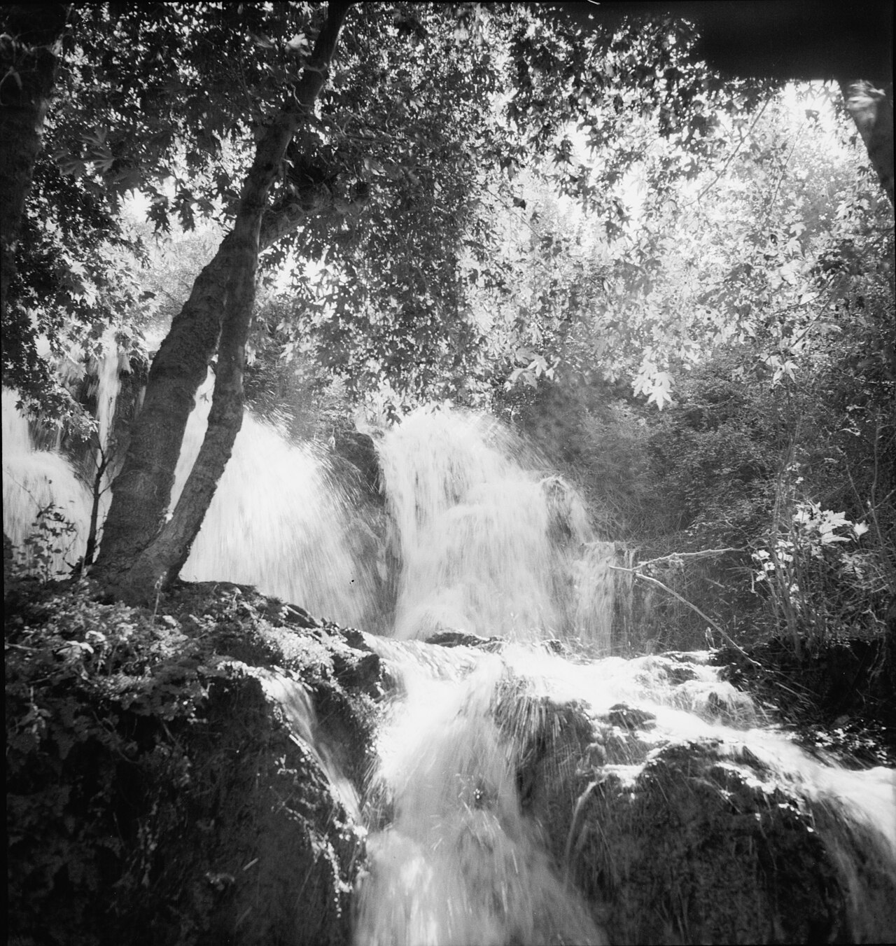 Harbiye Şelaleleri Piknik Alanı