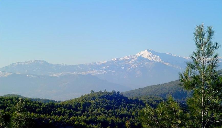 Honaz Dağı Milli Parkı Piknik Alanı
