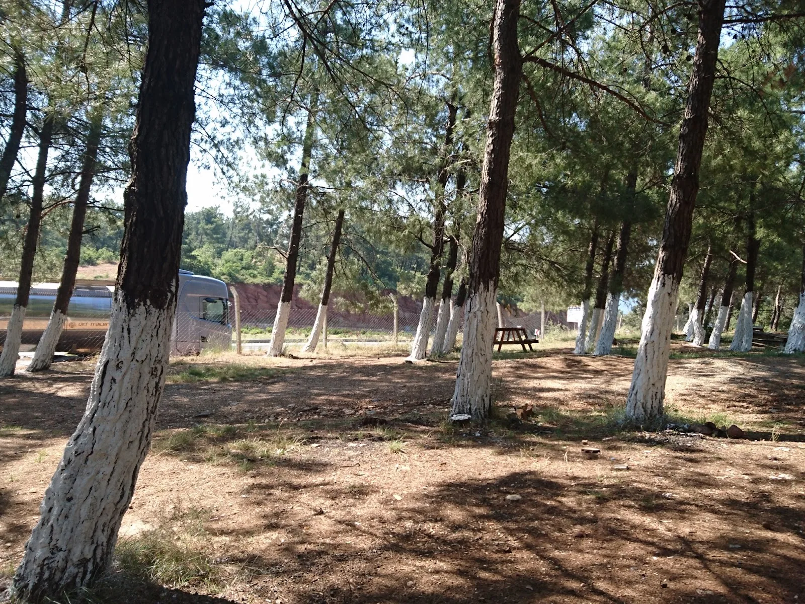 Karabel Mesire Alanı