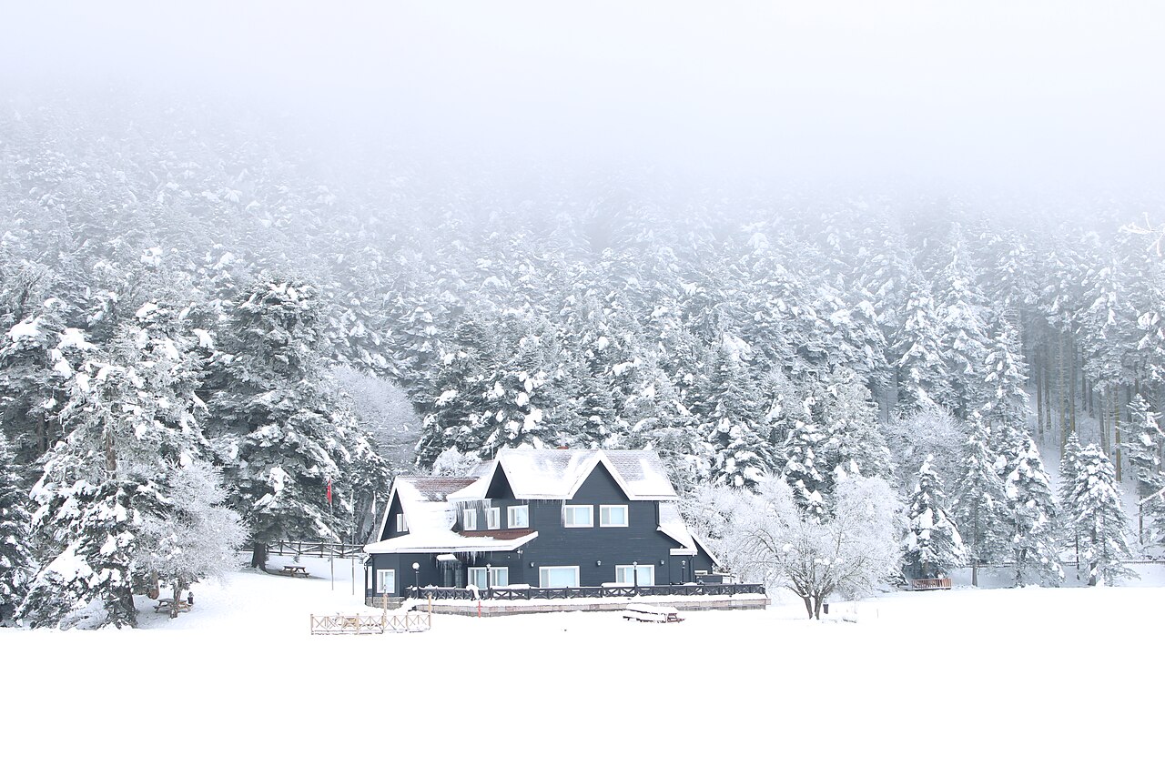 Kartalkaya Yaylası Piknik Alanı