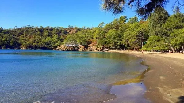 Katrancı Koyu Tabiat Parkı