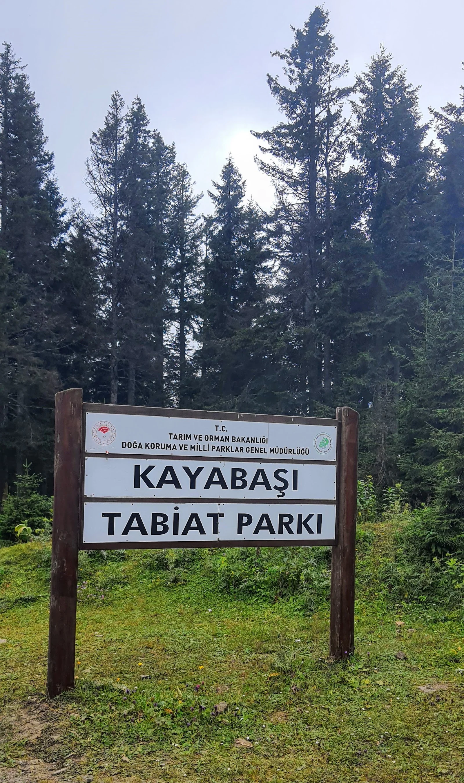 Kayabaşı Tabiat Parkı