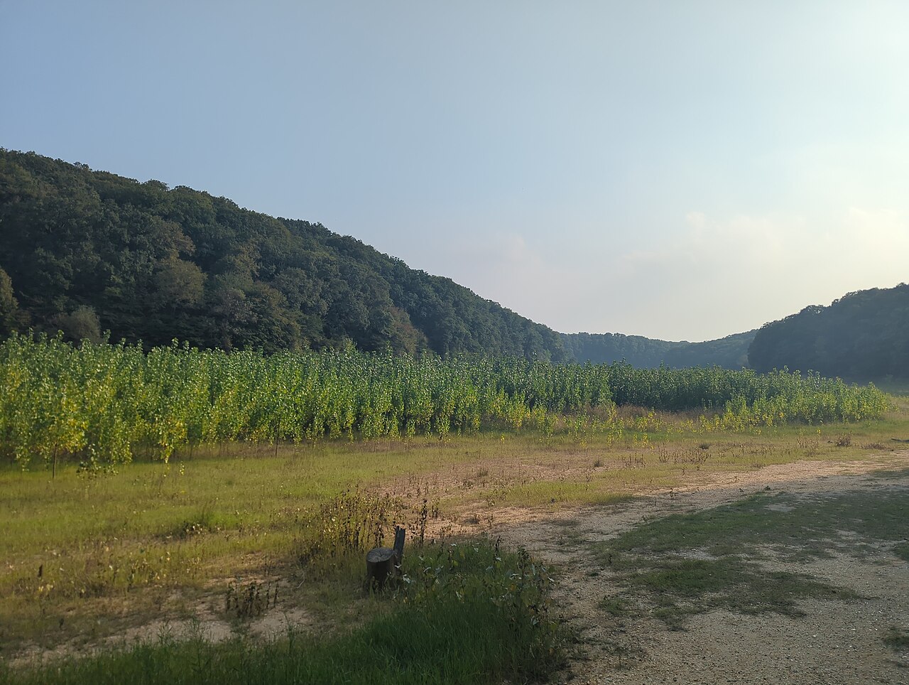 Kaymakdonduran Mesire Alanı