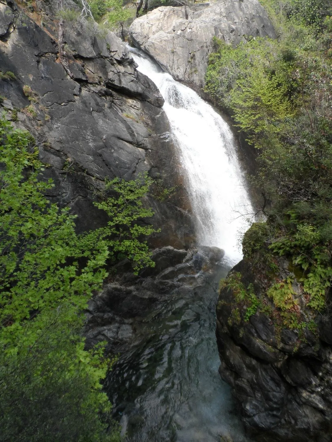 Kazdağları Hasanboğuldu Piknik Alanı