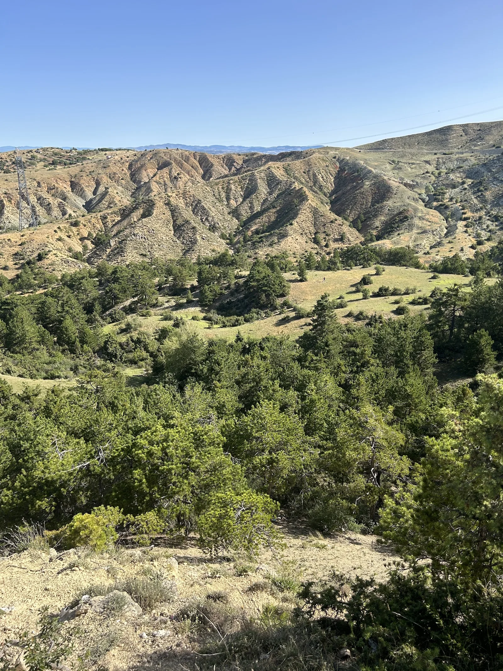 Kılıçlar C Tipi Mesire Alanı