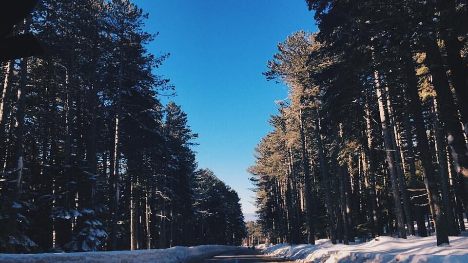 Kirazlıyayla Mesire Alanı