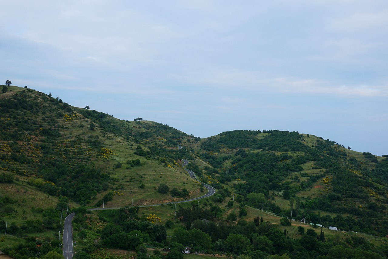 Kumbağ Sahil Piknik Alanı
