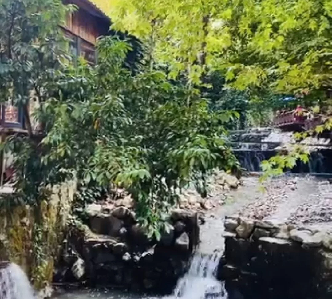 Maşukiye Köyü Piknik Alanları