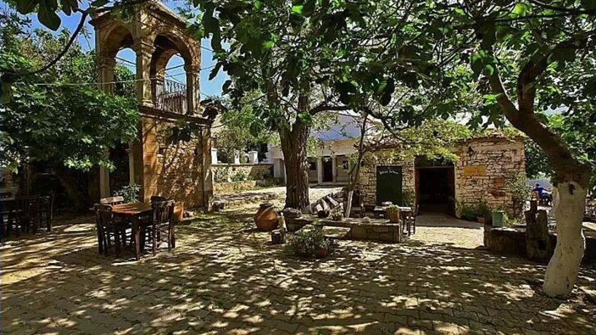 Mustafa'nın Kayfesi