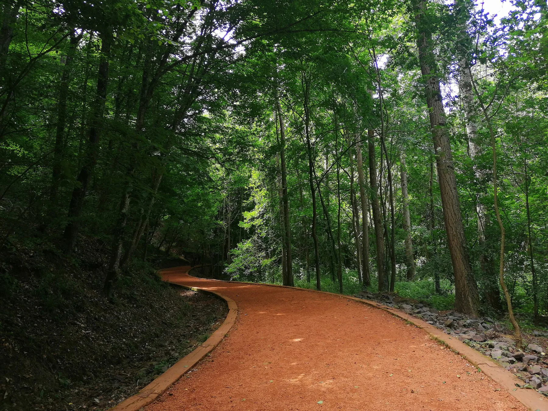 Neşet Suyu Tabiat Parkı