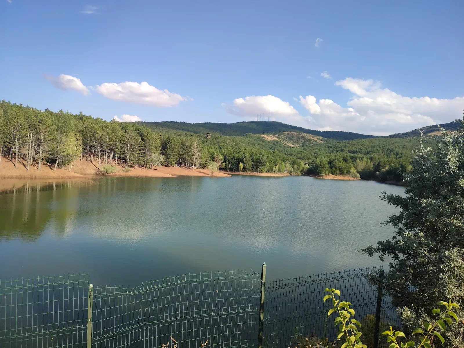 Oğuz Çamlığı Piknik Alanı