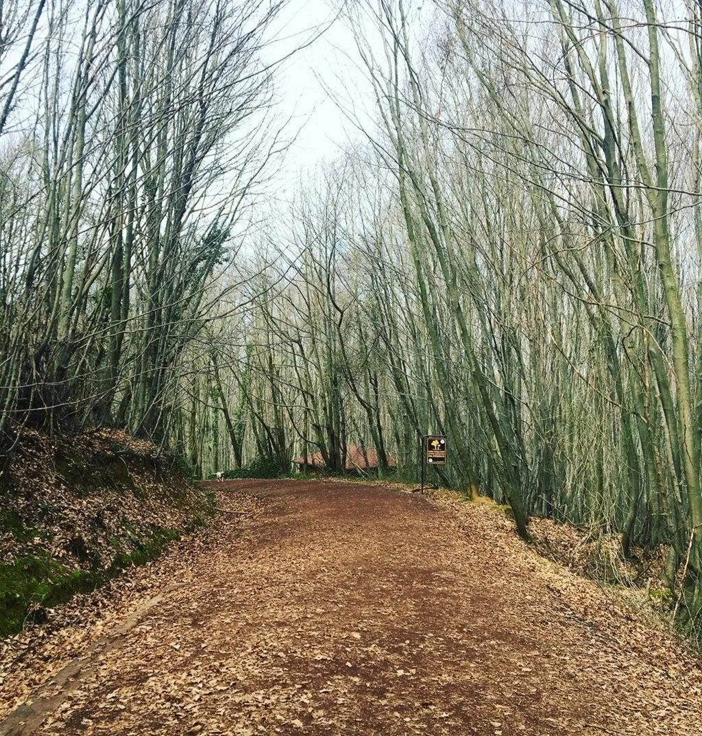 Polonezköy Tabiat Parkı