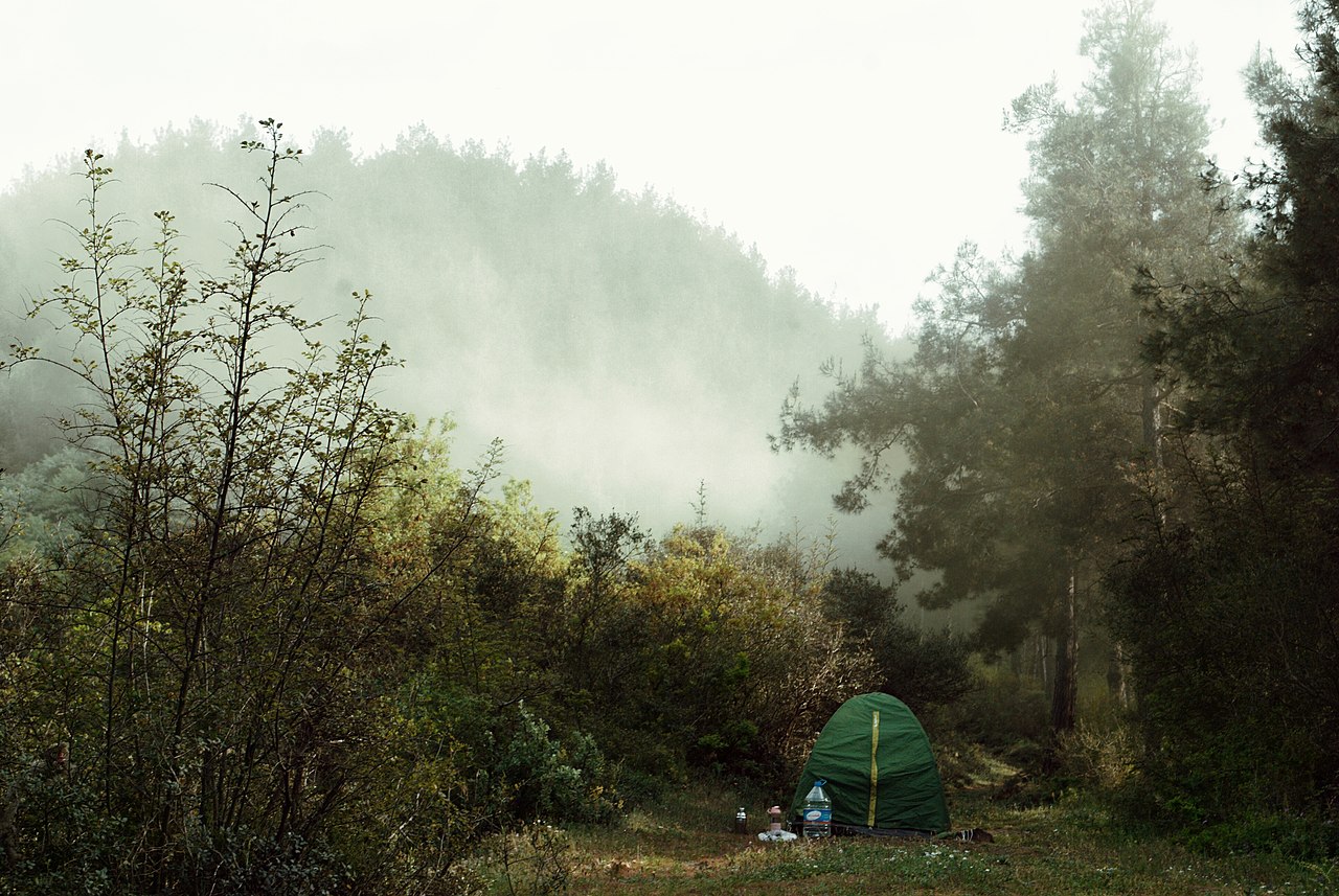Şamlar Tabiat Parkı