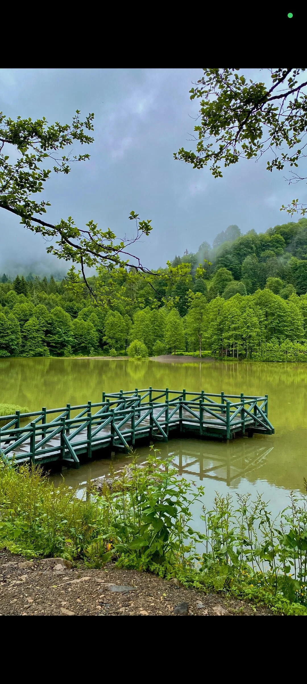 Şavşat Karagöl Piknik Alanı