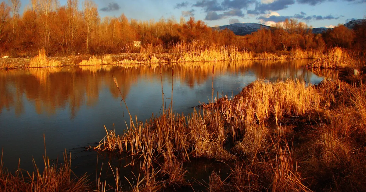 Sorgun Göleti Tabiat Parkı