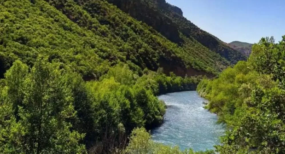 Tunceli Şehir Ormanı Piknik Alanı