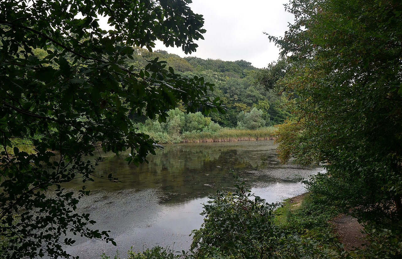 Piri Reis Çamlığı