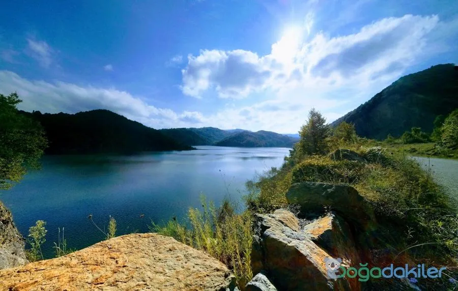 Ulutan Yaylası Piknik Alanı