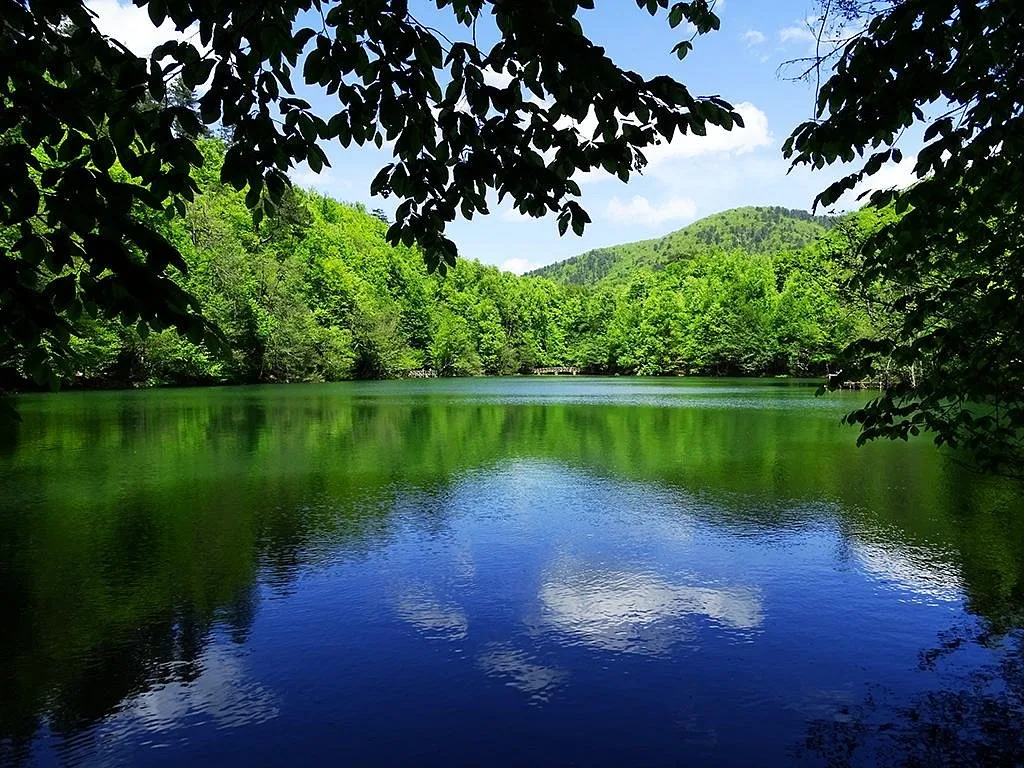 Yedigöller Milli Parkı Piknik Alanı