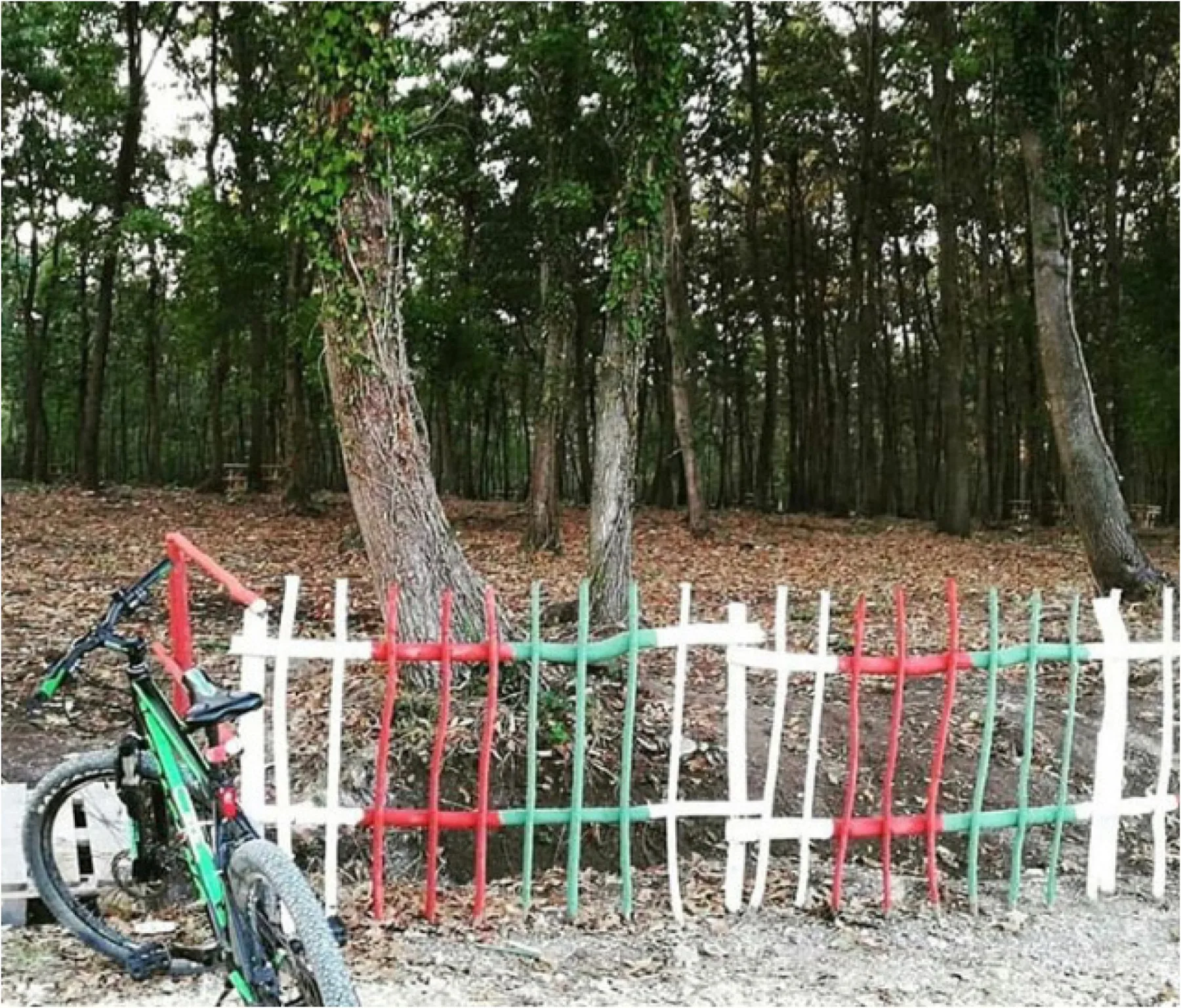 İnceğiz Mağaraları Mesire Alanı - ziyaretçi fotoğrafı 1