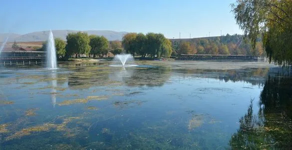 Ceyhan Nehri Kıyısı Piknik Alanı
