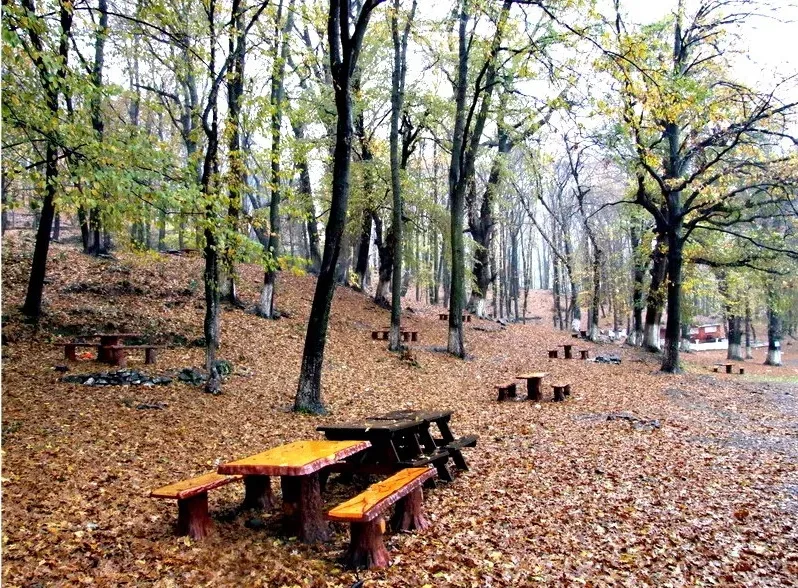 Çınarcık Sahili Piknik Alanı