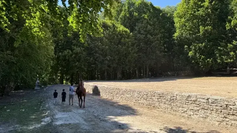 Domaniç Orman Piknik Alanı