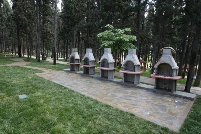 Halkalı Çamlık Piknik Alanı