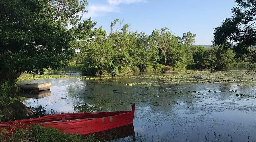 Karacabey Longozu Tabiat Parkı