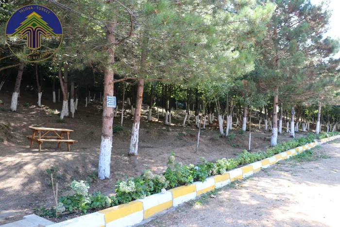 Yalova Termal Kaplıcaları Piknik Alanı