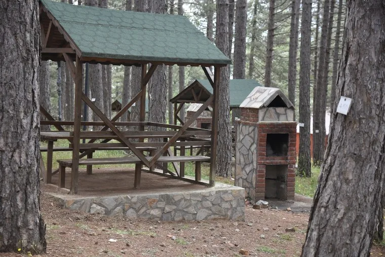 Zorkun Yaylası Piknik Alanı